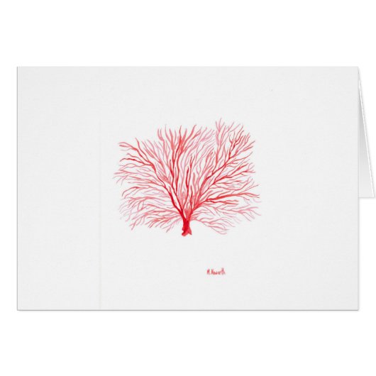 Red coral sealife (Front Horizontal)