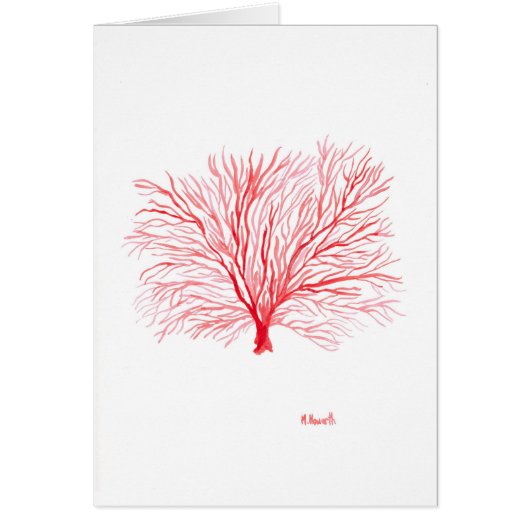 Red coral sealife cards (Front)