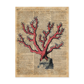 Red Coral Vintage Illustration Dictionary Art Postcard