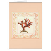 Red Coral with Conch Shell Border (Front)