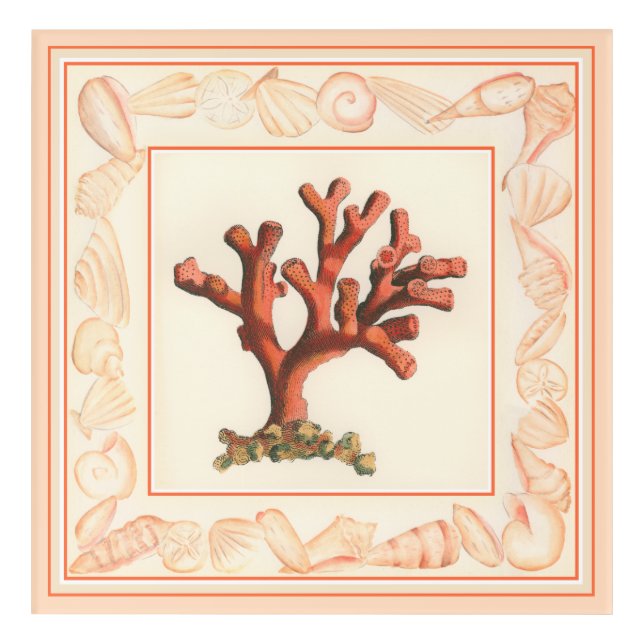 Red Coral with Conch Shell Border Acrylic Print (Front)