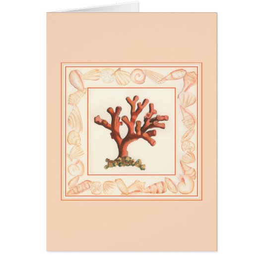 Red Coral with Conch Shell Border Cards (Front)