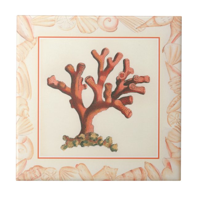 Red Coral with Conch Shell Border Ceramic Tile (Front)