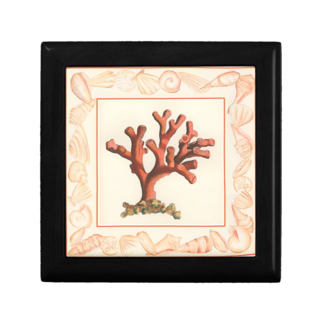 Red Coral with Conch Shell Border Jewelry Box (Front)
