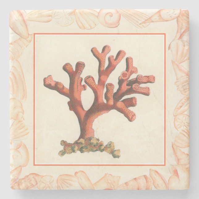 Red Coral with Conch Shell Border Stone Coaster (Front)