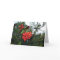 Red Cotoneaster Berries:  Holiday season