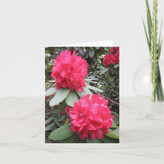 Red Couple Small Note Card