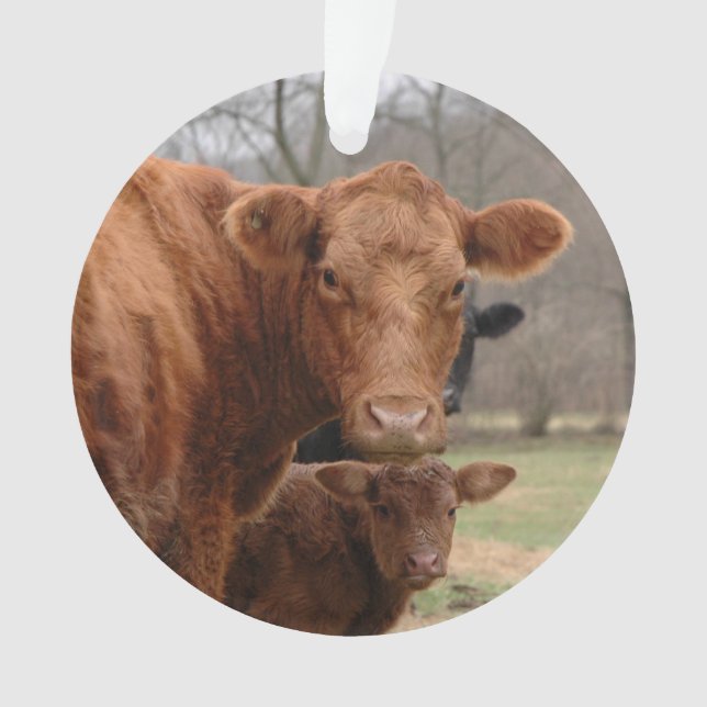 red cow with her Calf Ornament (Front)