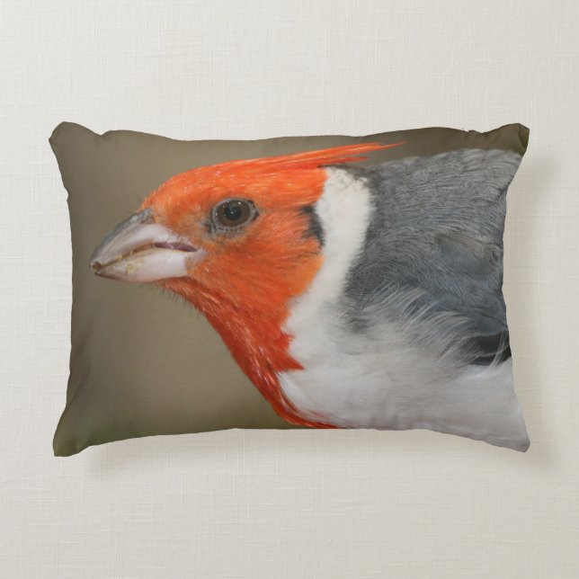 Red Crested Cardinal Accent Pillow (Front)