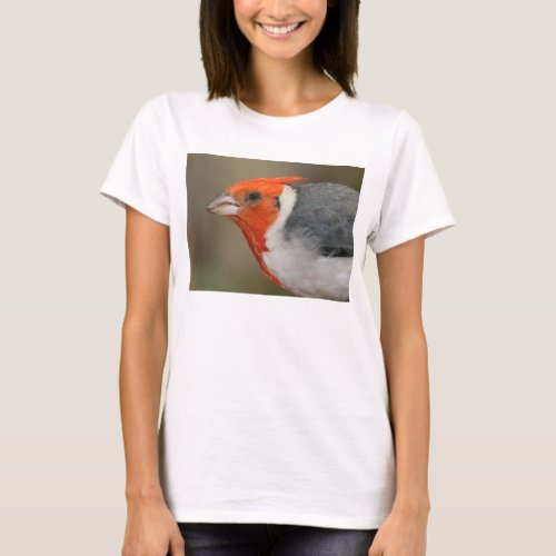 Red Crested Cardinal T_Shirt