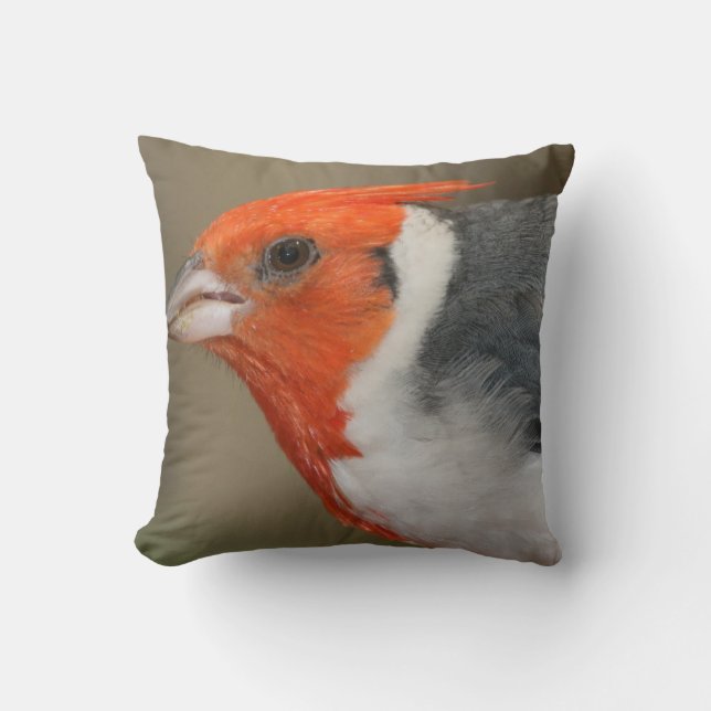Red Crested Cardinal Throw Pillow (Front)