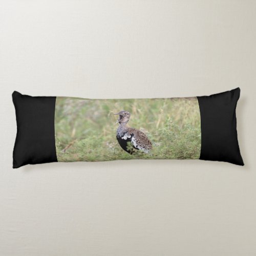 Red Crested Korhaan Body Pillow