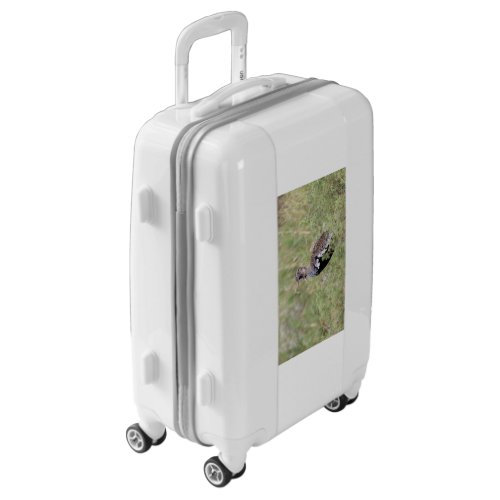 Red Crested Korhaan Luggage