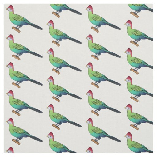 Red-crested turaco bird cartoon illustration  fabric