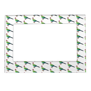 Red-crested turaco bird cartoon illustration magnetic frame
