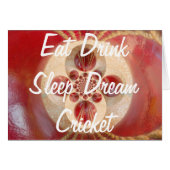 Red Cricket balls design (Front Horizontal)