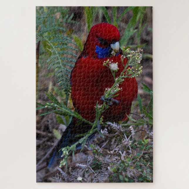 Red Crimson Rosella Bird Eating, 1014 pieces Jigsaw Puzzle (Vertical)
