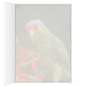 Red-crowned parrot flowers cards (Inside (Right))