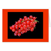 Red Currant Berry (Front Horizontal)