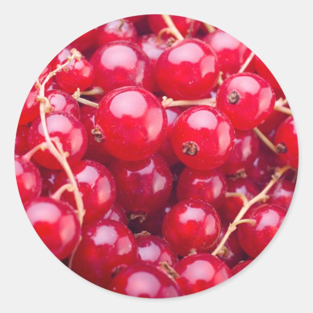 Red Currant Classic Round Sticker (Front)