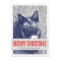 Red Cute Meowy Christmas Pet Photo Flat Cards