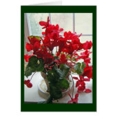 Red Cyclamen Flowers (Front)