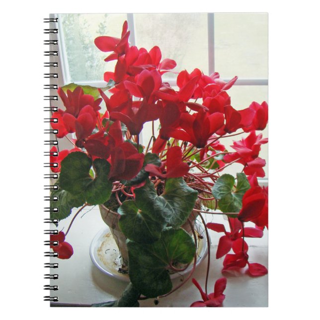 Red Cyclamen Flowers Notebook (Front)