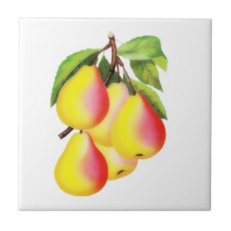Red D’Anjou Pears - vintage illustration