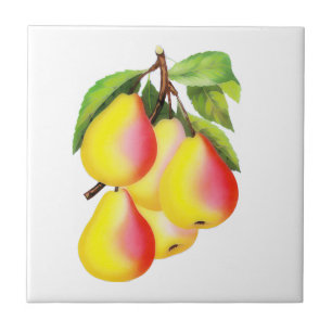 Red D’Anjou Pears - vintage illustration Ceramic Tile