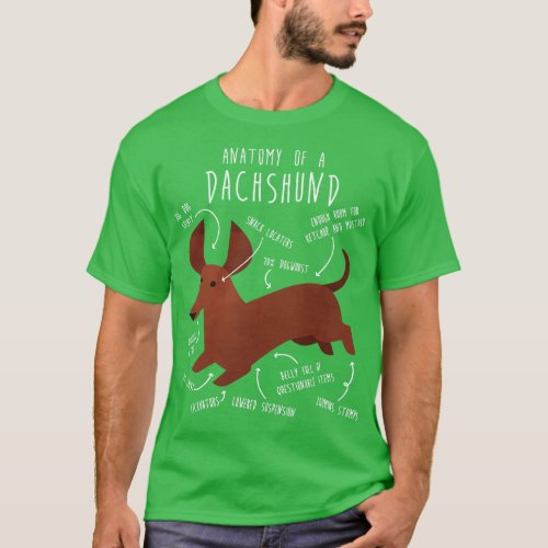 Red Dachshund Dog Anatomy T_Shirt