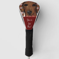 Red Dachshund   