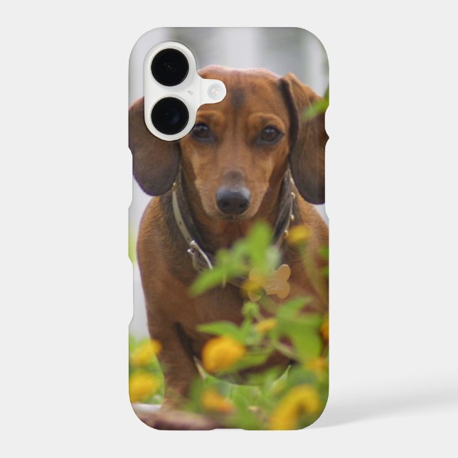 Red Dachshund iPhone 7 case (Back)