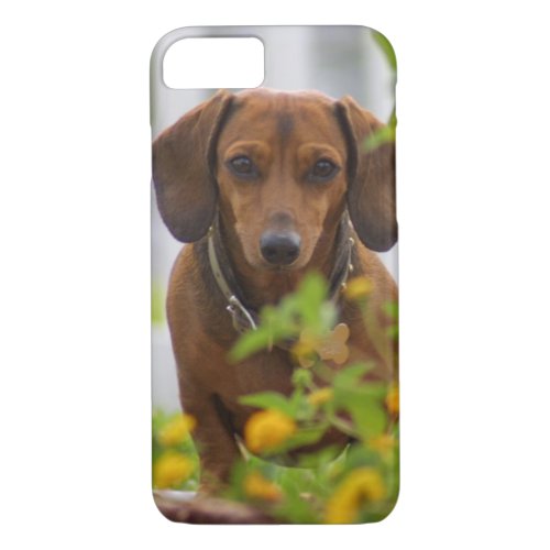 Red Dachshund iPhone 7 case