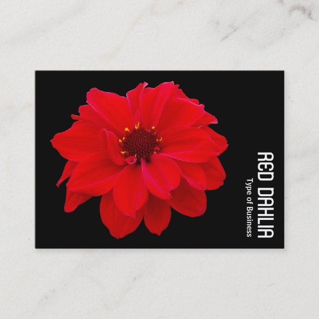 Red Dahlia - Black Business Card (Front)