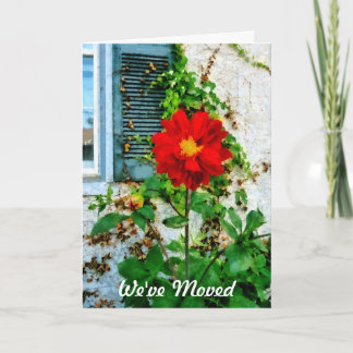 Red Dahlia by Window- We've Moved Card