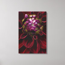 Red Dahlia Canvas Print