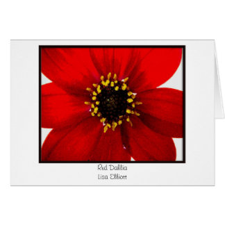 Red Dahlia Cards