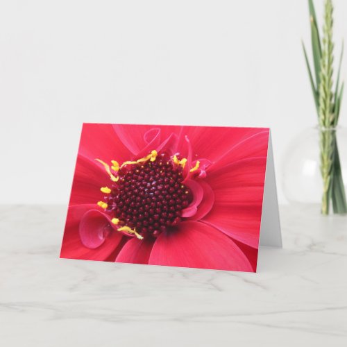 Red Dahlia Close_up Card