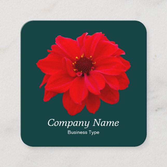 Red Dahlia - Dark Green Square Business Card (Front)