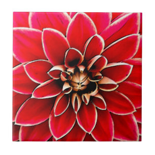 Red Dahlia, digital art Tile