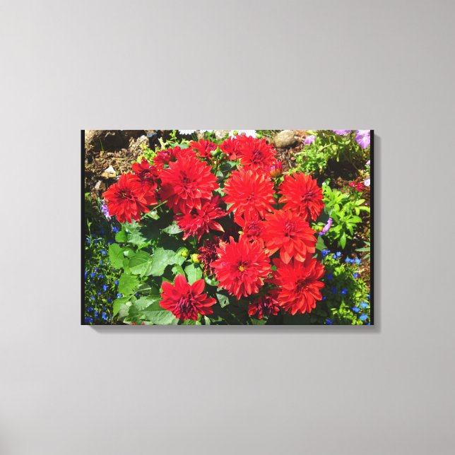 Red Dahlia Flower Canvas Print (Front)