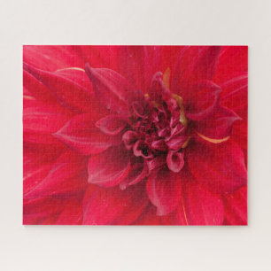 Red Dahlia Flower Jigsaw Puzzle