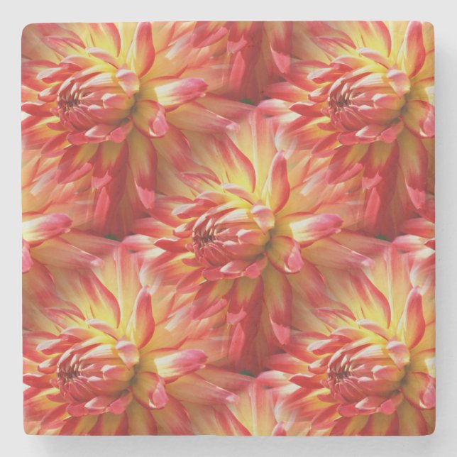 Red Dahlia Flower Nature Art Pattern Stone Coaster (Front)