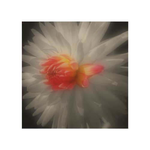 Red Dahlia Flower Partial Color   Wood Wall Art
