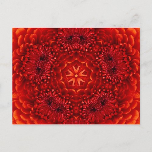 RED DAHLIA FLOWER POSTCARD