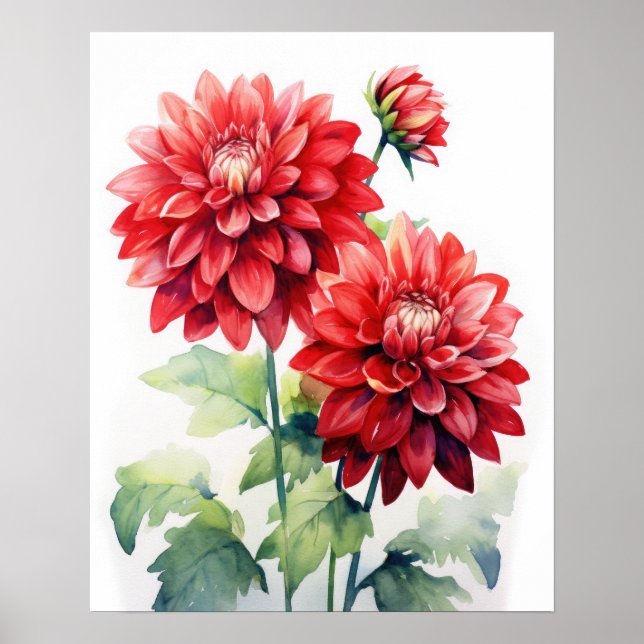 Red Dahlia Flowers Art Print Poster (Front)