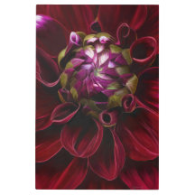 Red Dahlia Metal Print