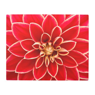 Red Dahlia Metal Print
