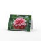Red Dahlia Mother's Day Mom