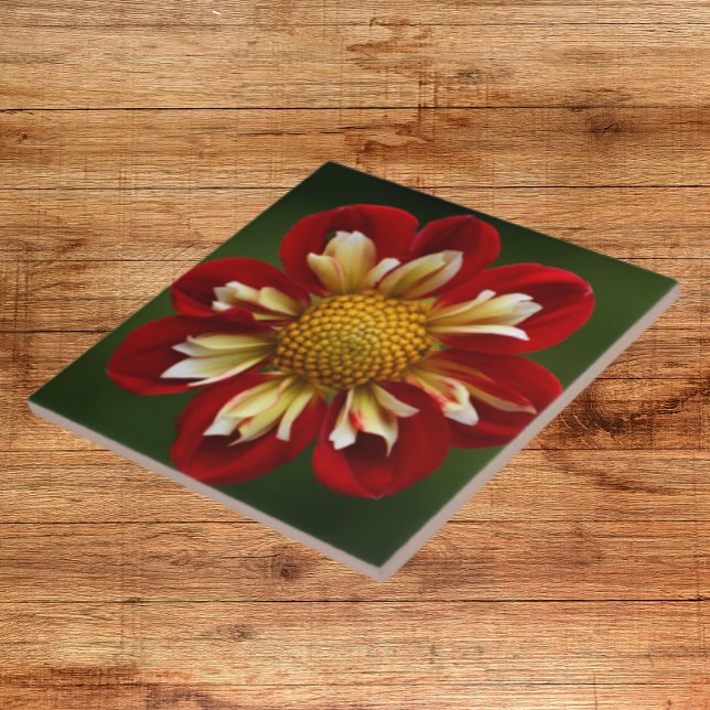 Red Dahlia on Green Floral Ceramic Tile (In Situ)